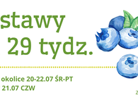 Dostawy na 29 tydz. :) 20-22.07 ŚR-PT Poznań Wrocław