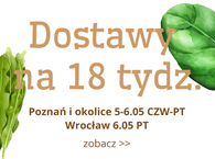 Dostawy po majówce 18 tydz. :) 5-6.05 CZW-PT Poznań Wrocław