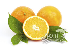Pomarańcze BIO odmiana Navel ok. 1 kg